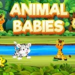 Animal Babies