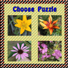 Choose Puzzle